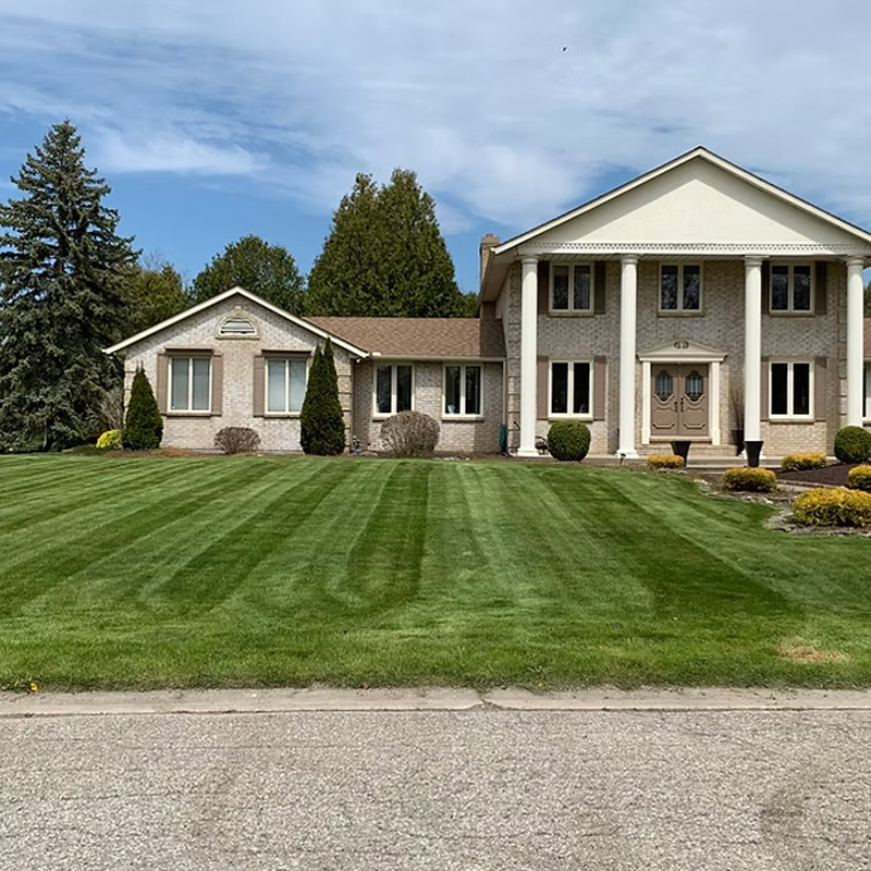 freshly cut lawn in front of a house